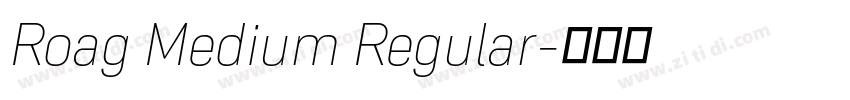 Roag Medium Regular字体转换